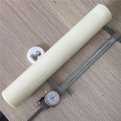 Pompe à vide en céramique de résistance à l'usure de piston de la zircone 100ml blanche